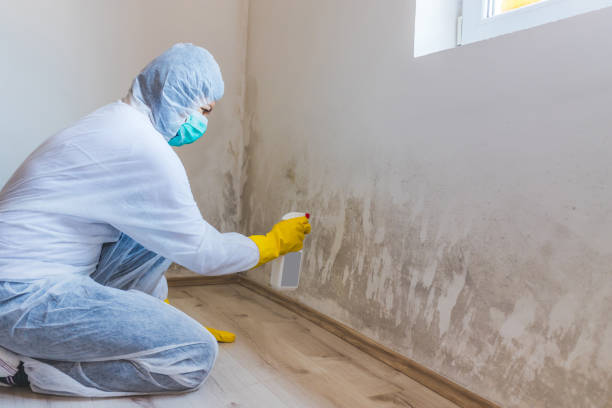 Licensed Crawl Space Mold Removal service in Hightstown, NJ - WQB Mold Removal