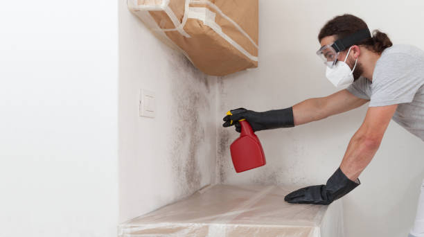 Professional Crawl Space Mold Removal technician working in Hightstown, NJ