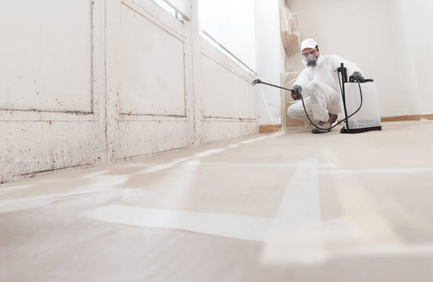 24/7 Emergency Crawl Space Mold Removal experts in Hightstown, NJ