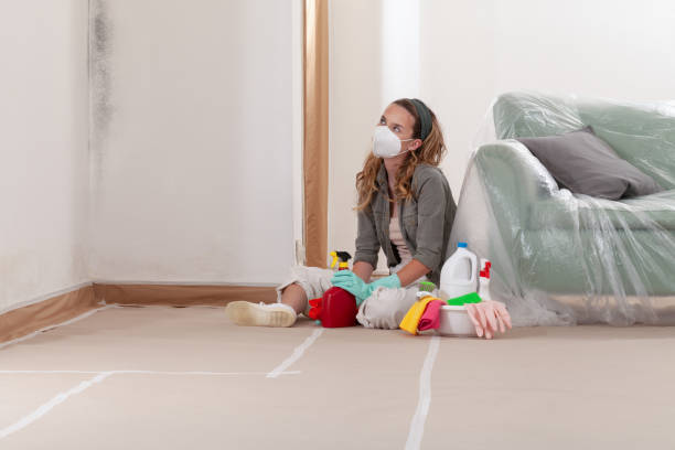 Reliable Crawl Space Mold Removal contractor in Hightstown, NJ by WQB Mold Removal