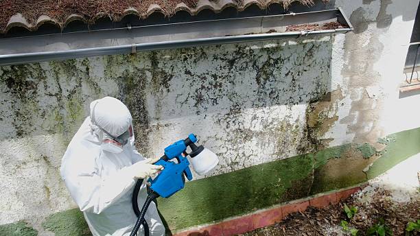Top rated local Crawl Space Mold Removal specialists in Hightstown, NJ